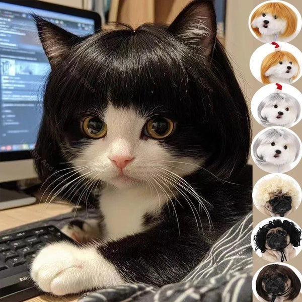 Bob Wig for Pets