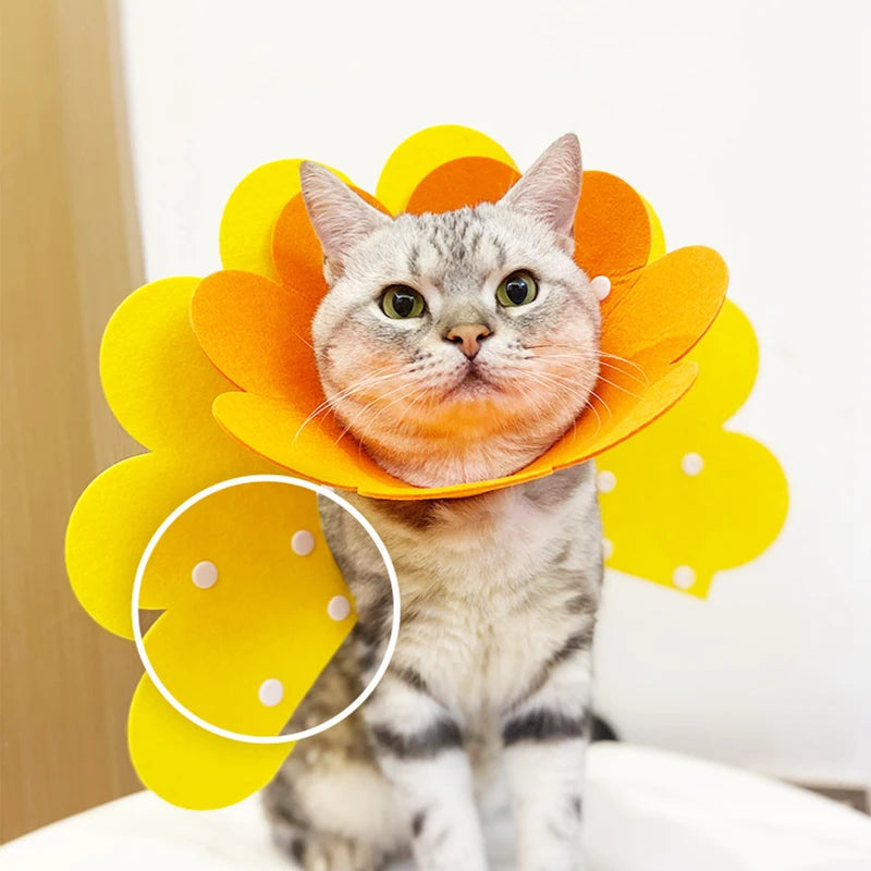 Soft Flower Recovery Collar for Cats and Small Dogs