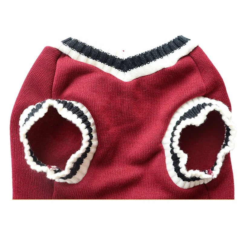 Varsity Knit Jumper for Cats and Small Dogs