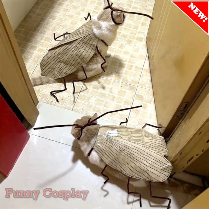 Cockroach Costume for Cats