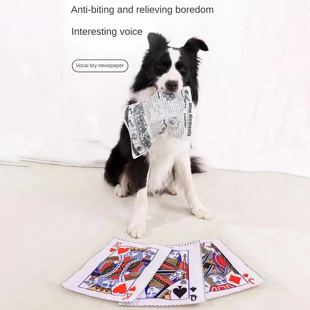 Crinkle Newspaper Dog Toy
