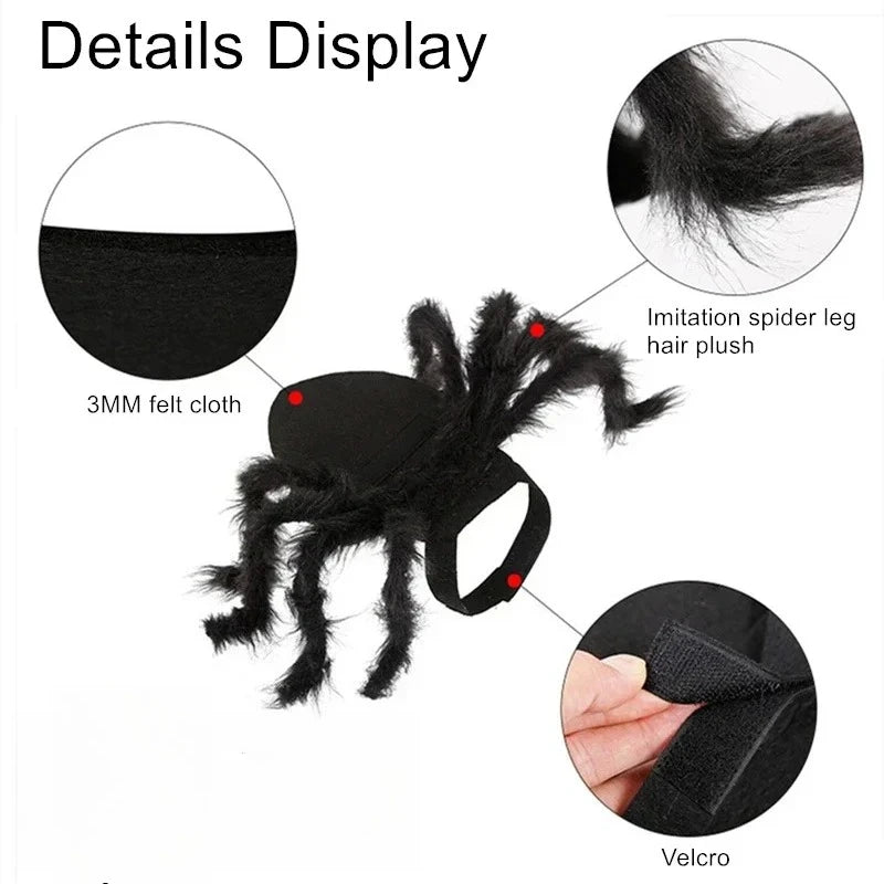Spider Halloween Costume for Dogs and Cats