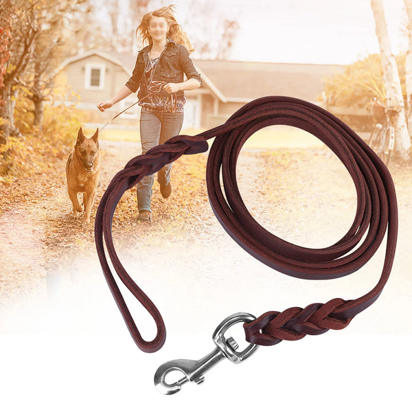 Braided Leather Dog Lead