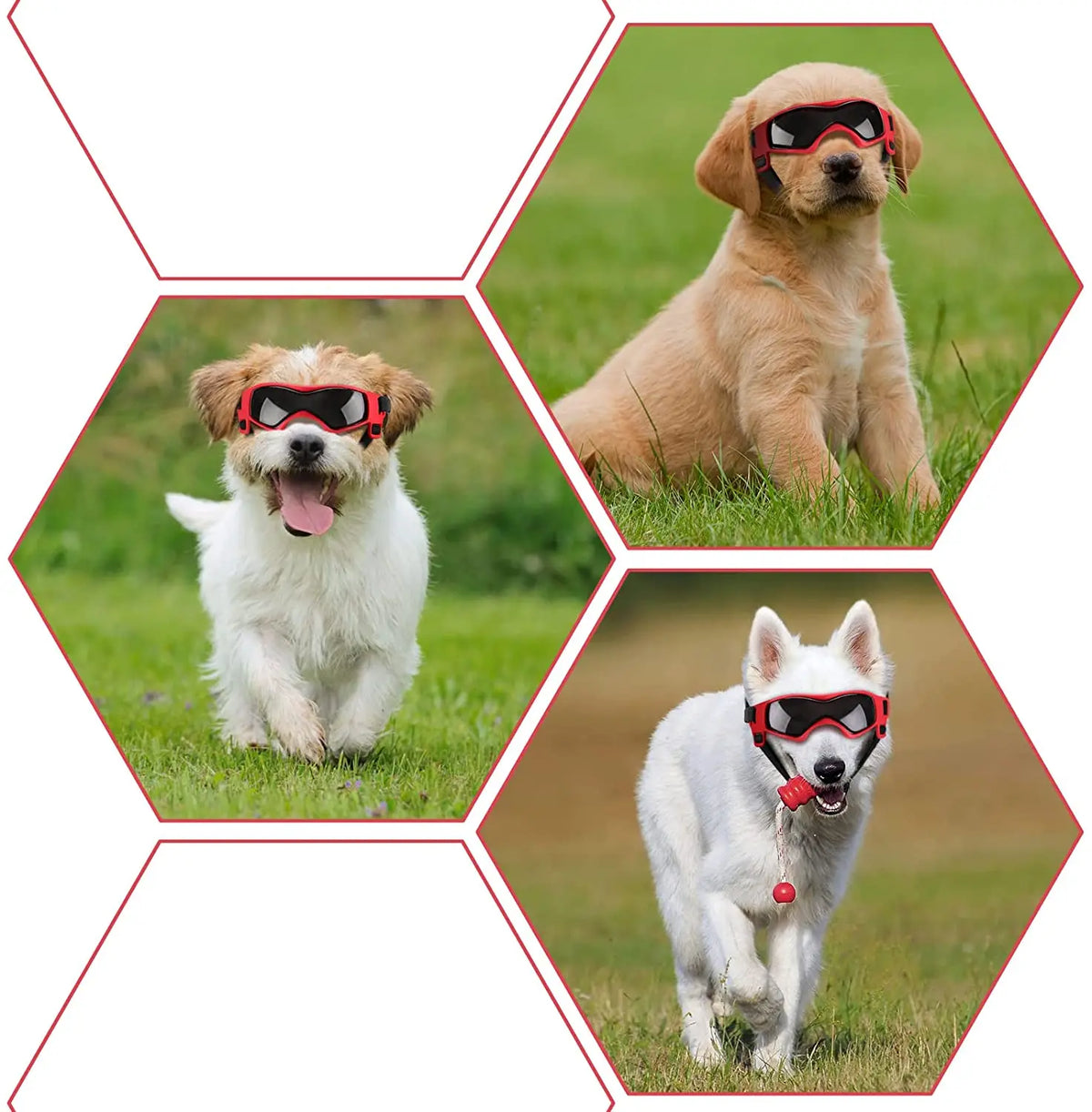 UV Goggles for Small and Medium Dogs