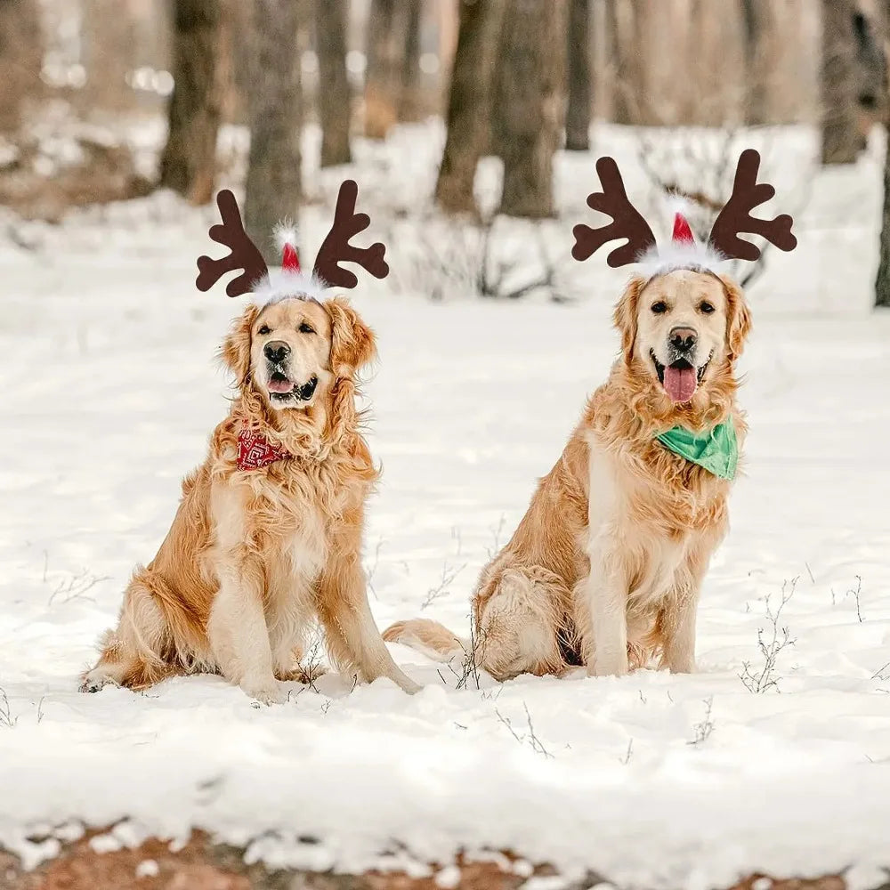 Christmas Antler Headband for Pets