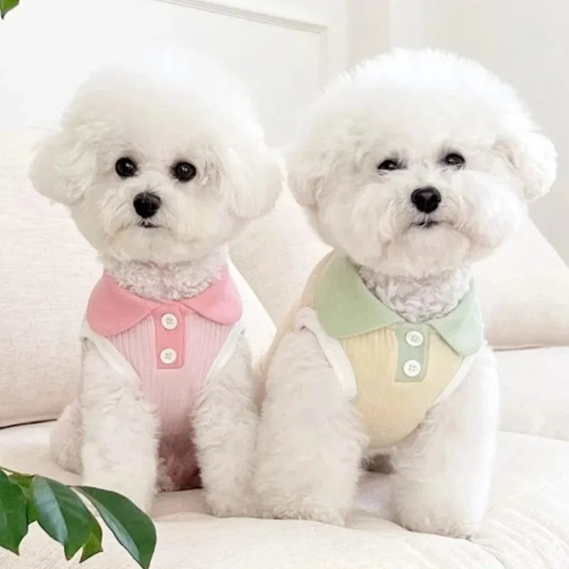 Pet Polo Shirt