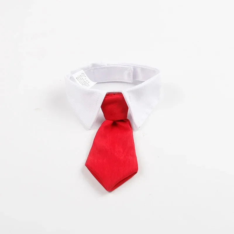 Formal Necktie Collar for Dogs and Cats - Red / 30 cm