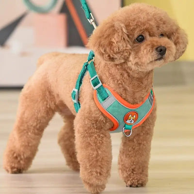 Reflective No-Pull Dog Harness and Lead