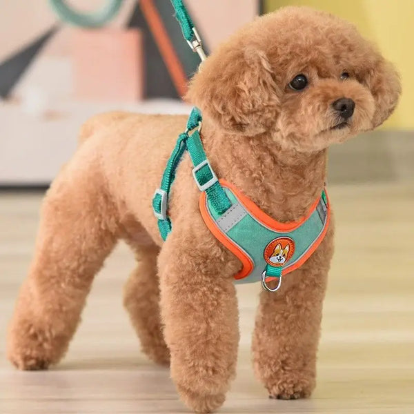 Reflective No-Pull Dog Harness and Lead