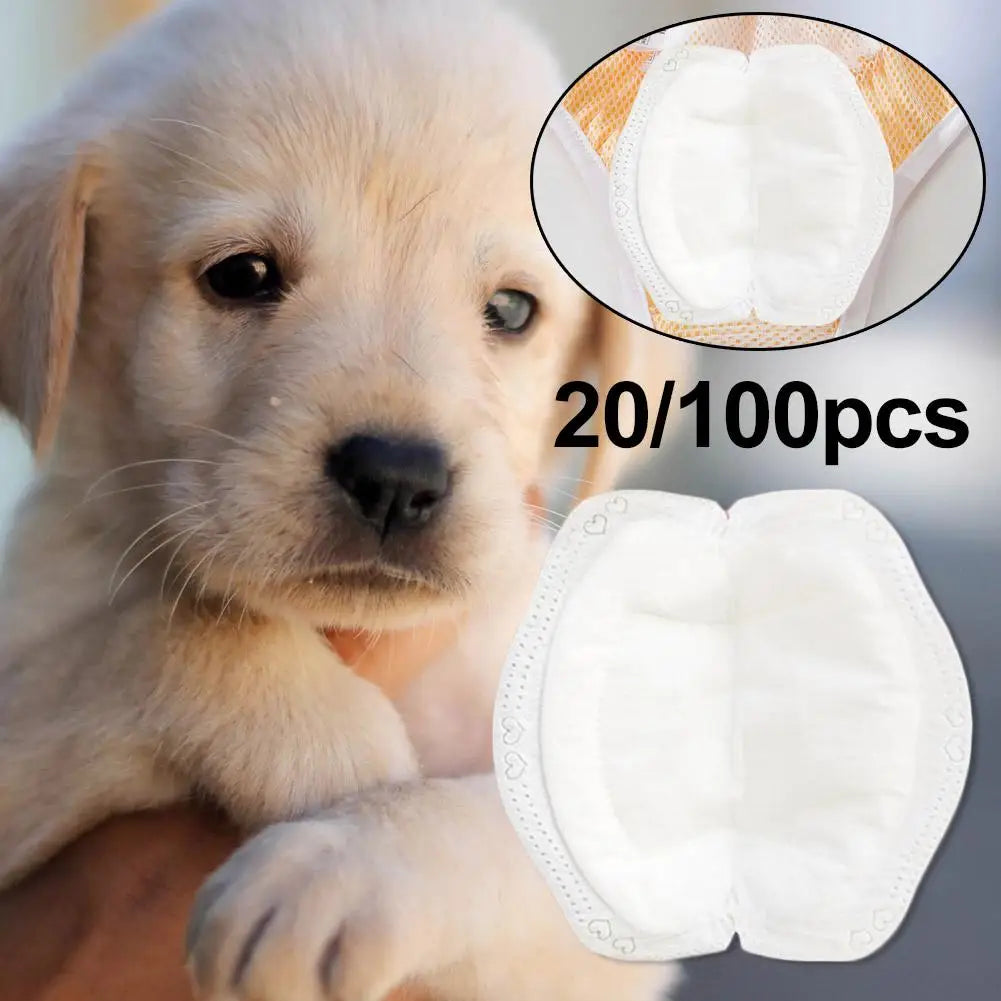 Disposable Pads for Dog Pants, 100 Pack