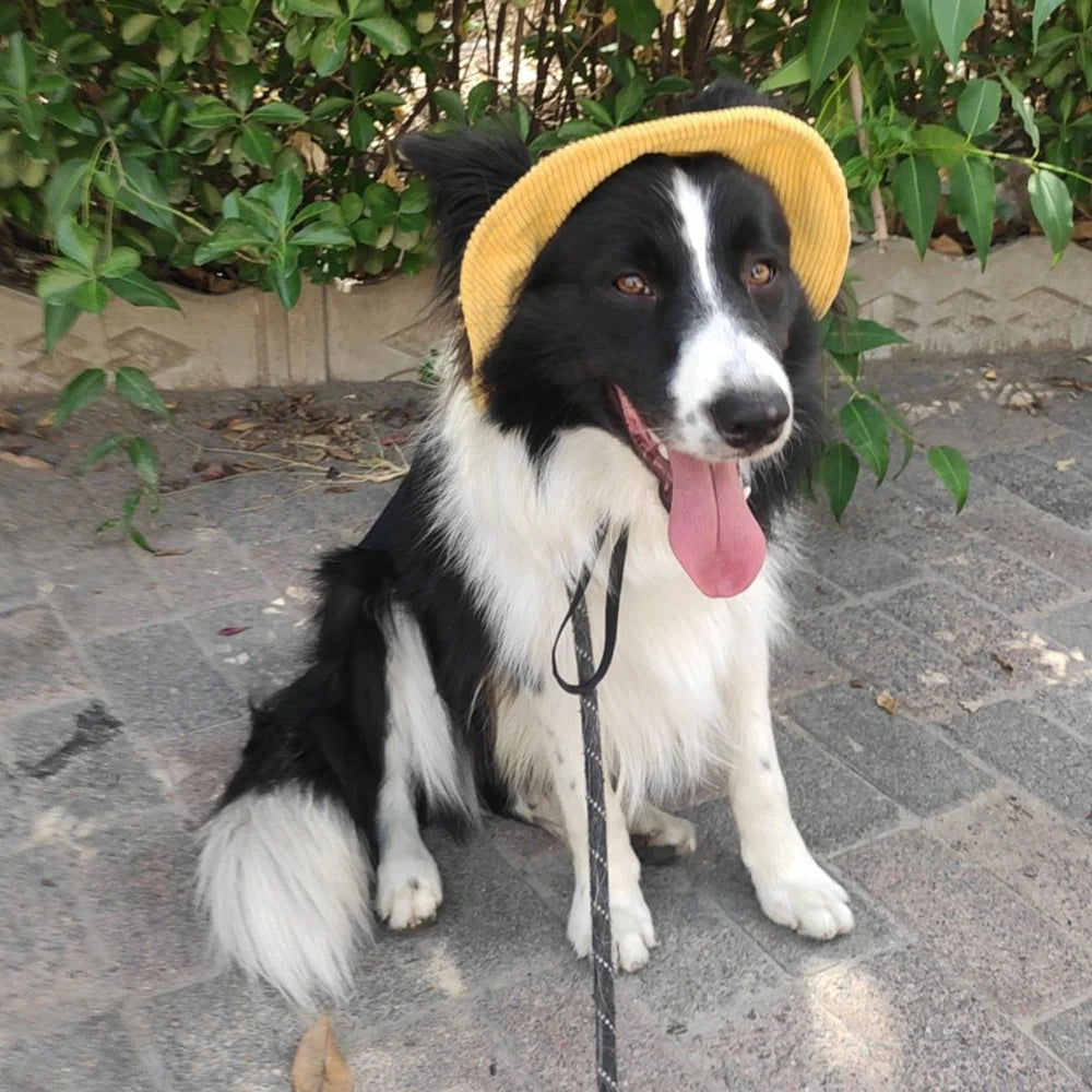 Dog Sun Hat with Chin Strap