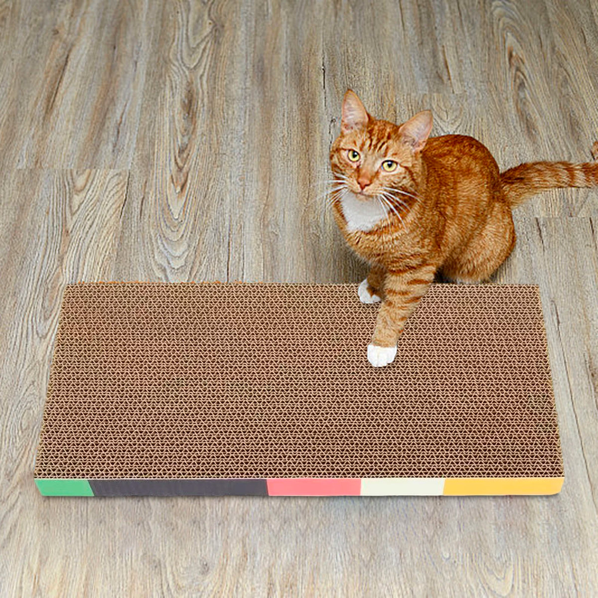 Curved Cardboard Cat Scratcher Lounger