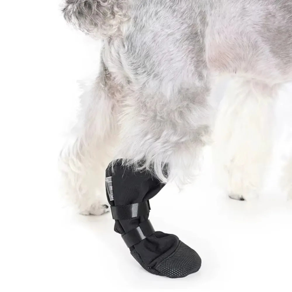 Recovery Boot for Dogs