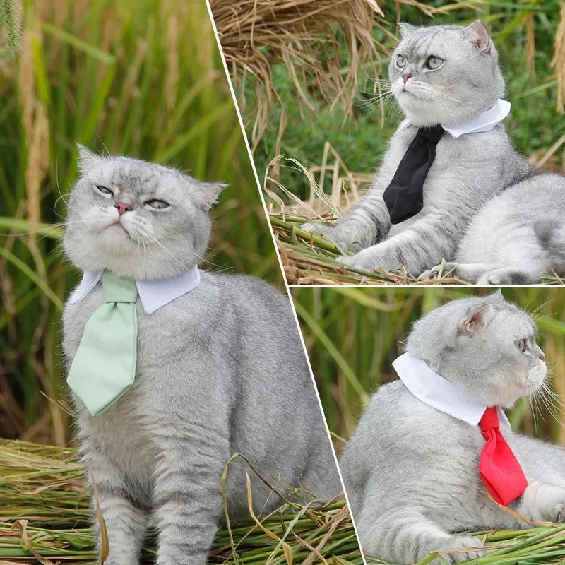 Formal Necktie Collar for Dogs and Cats