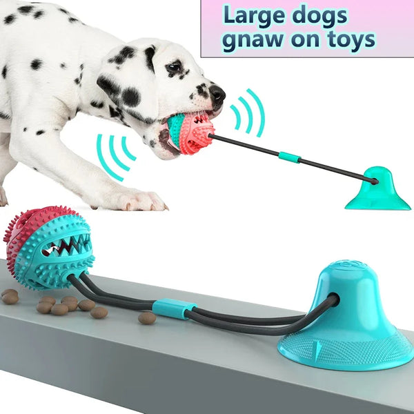 Suction Cup Tug Toy with Treat Ball