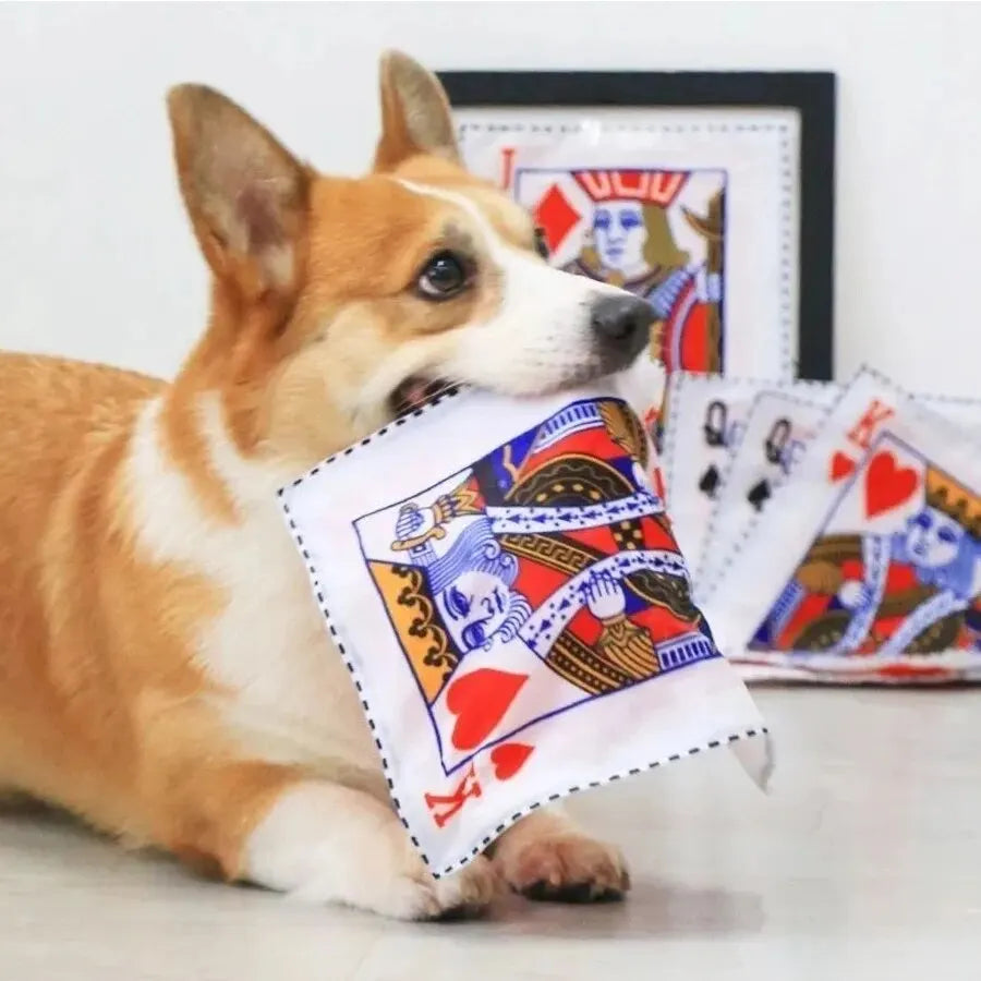 Crinkle Newspaper Dog Toy