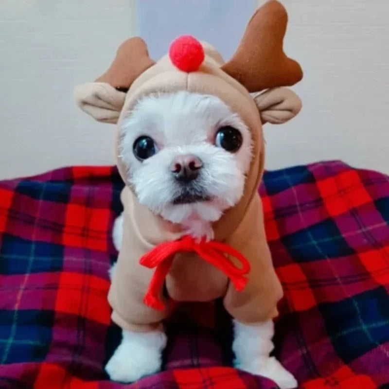 Reindeer Hoodie for Small Dogs