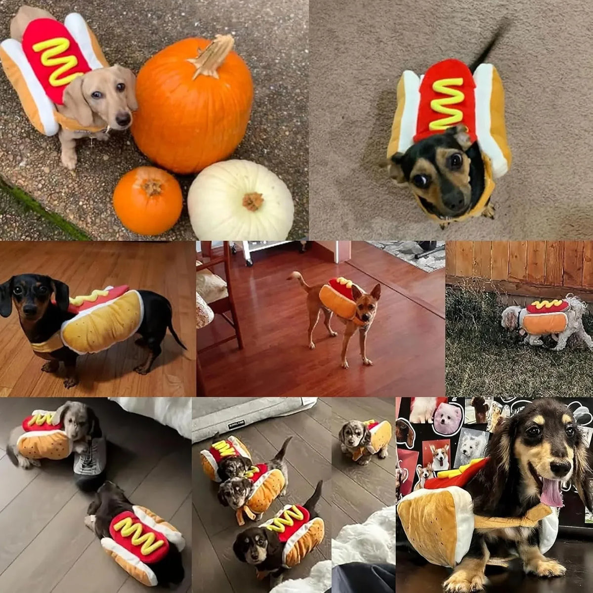 Hot Dog Costume