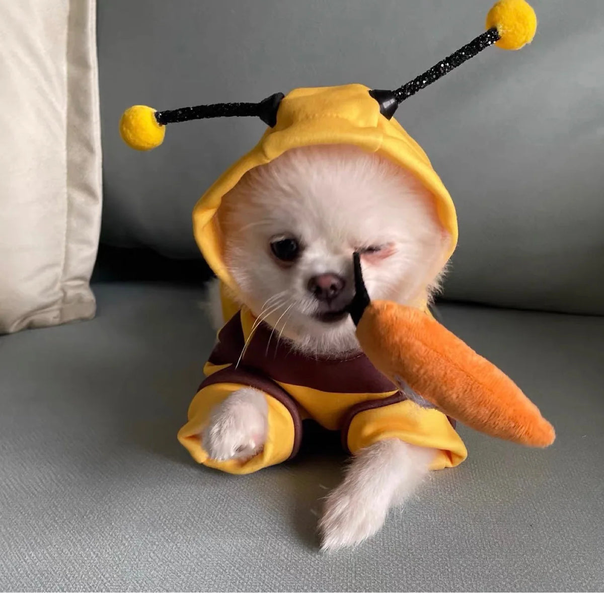 Bumblebee Hoodie for Pets