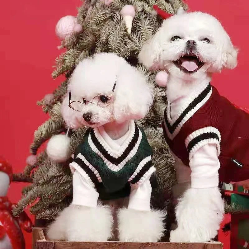 College-Style V-Neck Dog Jumper