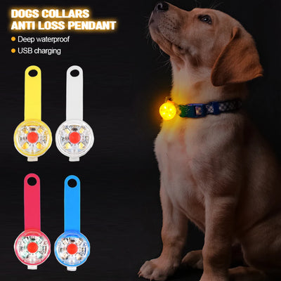 Rechargeable LED Collar Light