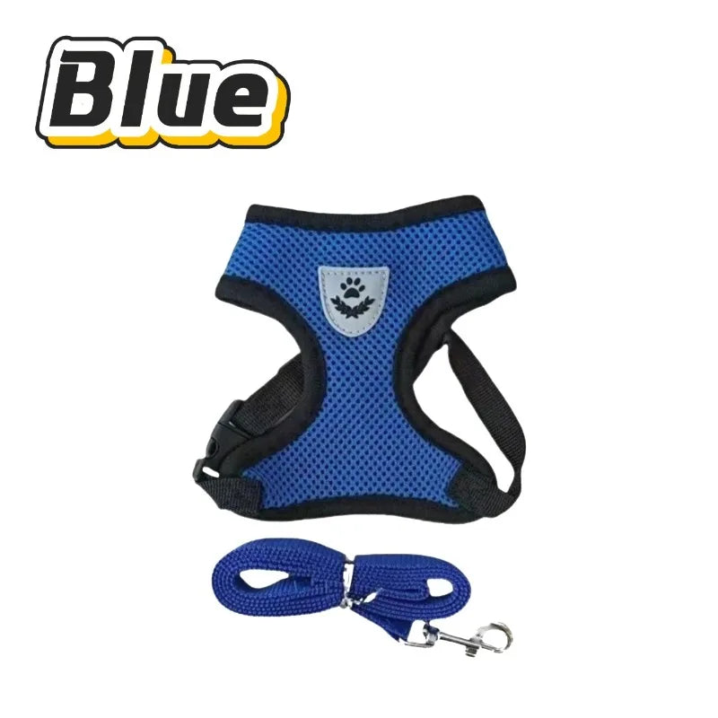 Mesh Cat Harness and Lead Set - Blue / S (1.5 to 2.5 kg)
