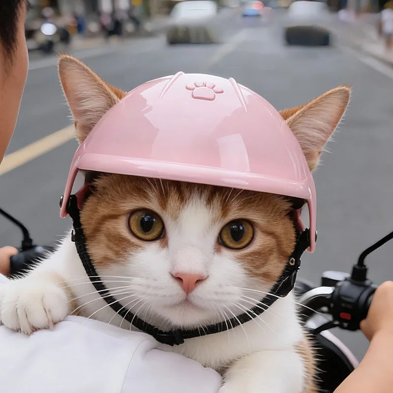 Motorbike Helmet for Dogs and Cats