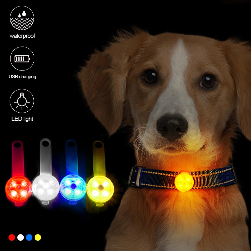 Rechargeable LED Collar Light