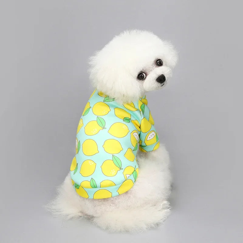 Printed Fleece Sweatshirt for Small Dogs