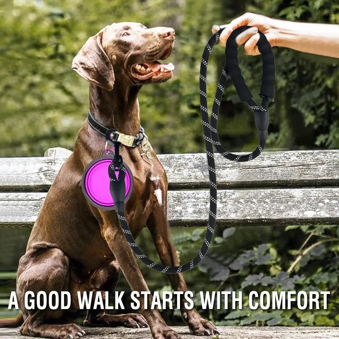Reflective Nylon Rope Dog Lead